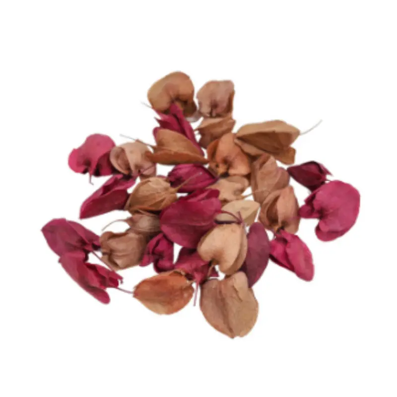 Bushwillows Petal