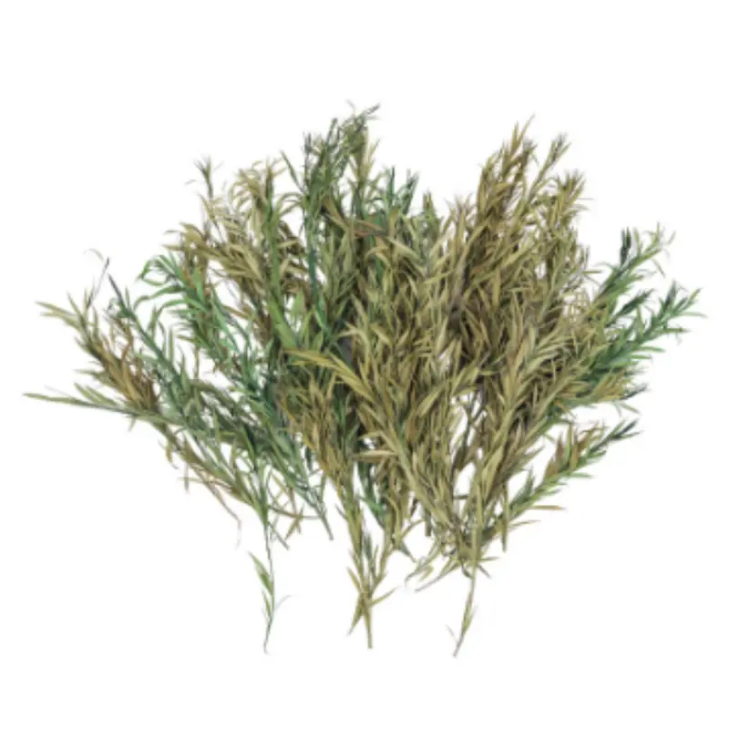 Willow Leaves