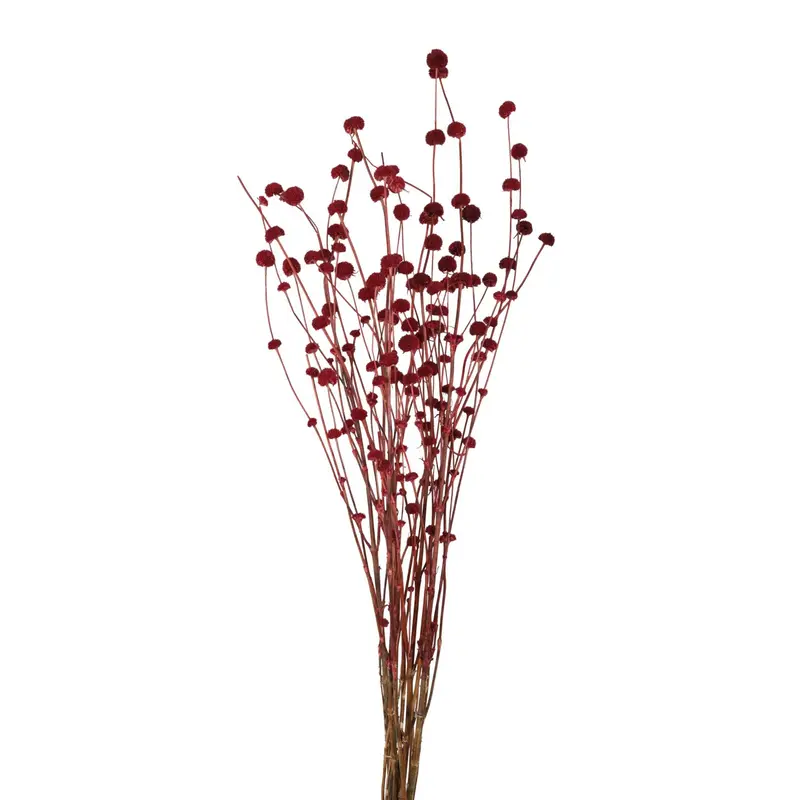 Mars Grass detail