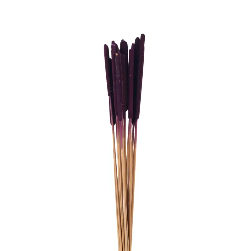 Narrow Leaved Cat Tail detail