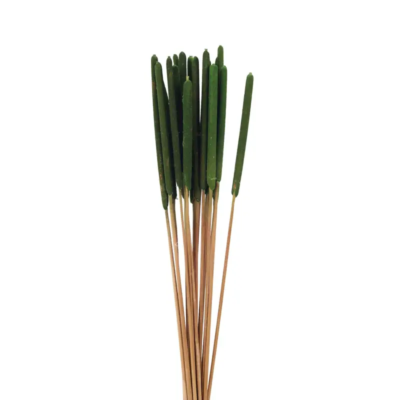 Narrow Leaved Cat Tail detail