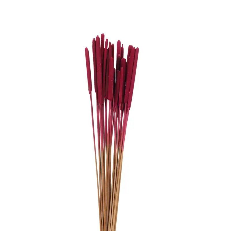 Narrow Leaved Cat Tail detail