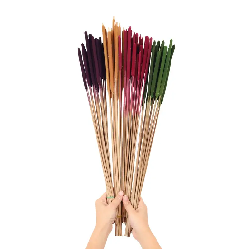 Narrow Leaved Cat Tail