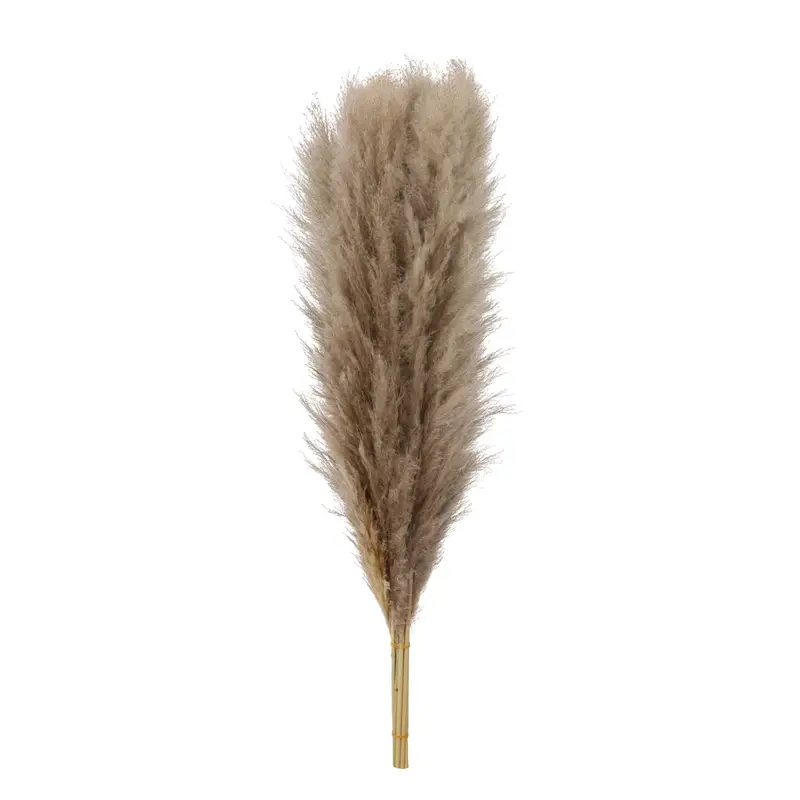 Pampas (Natural) detail
