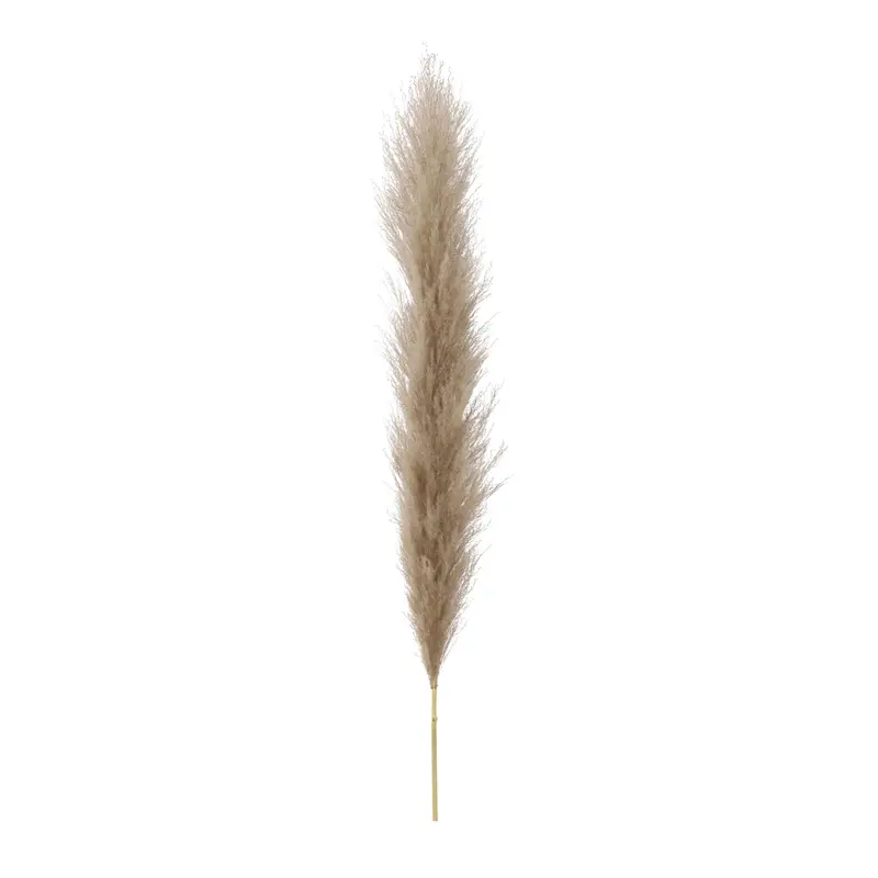 Pampas (Natural) detail