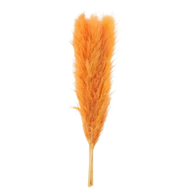 Pampas (Bleached) detail