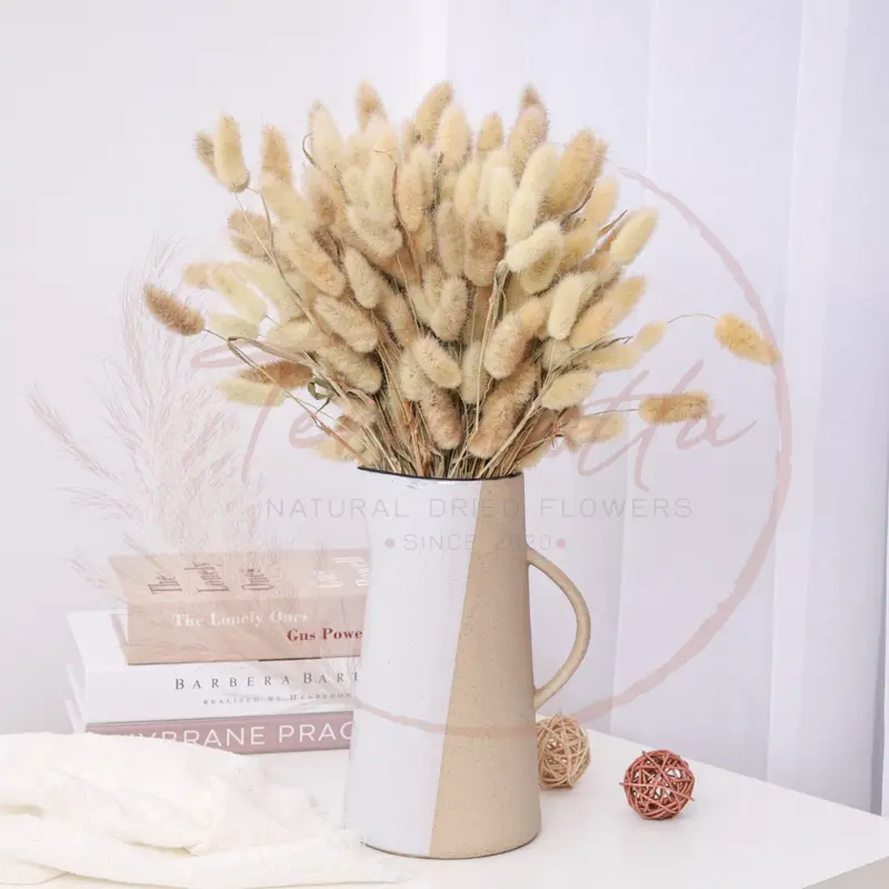 Exploring the Beauty of Rabbit Tail Petal Pampas