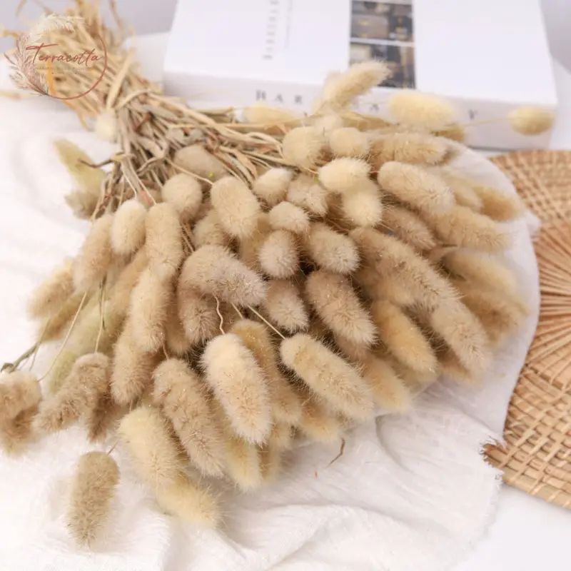 Rabbit Tail Grass (Natural)