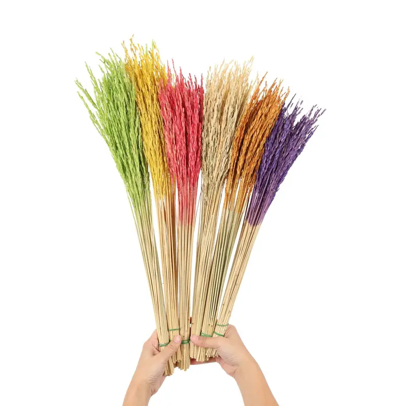 Rice Grass