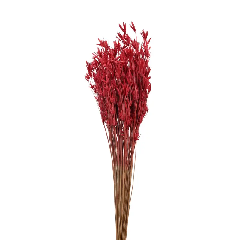 Spanish Needles detail