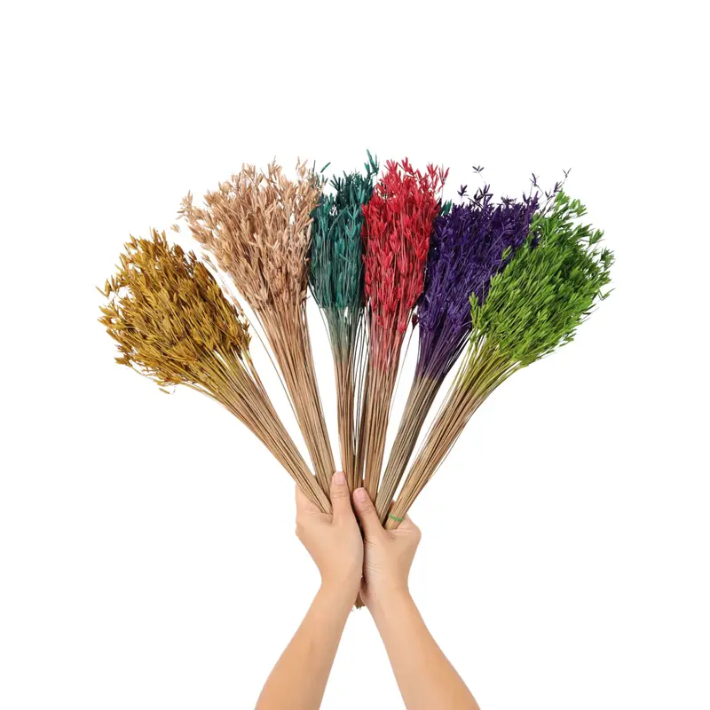 Spanish Needles