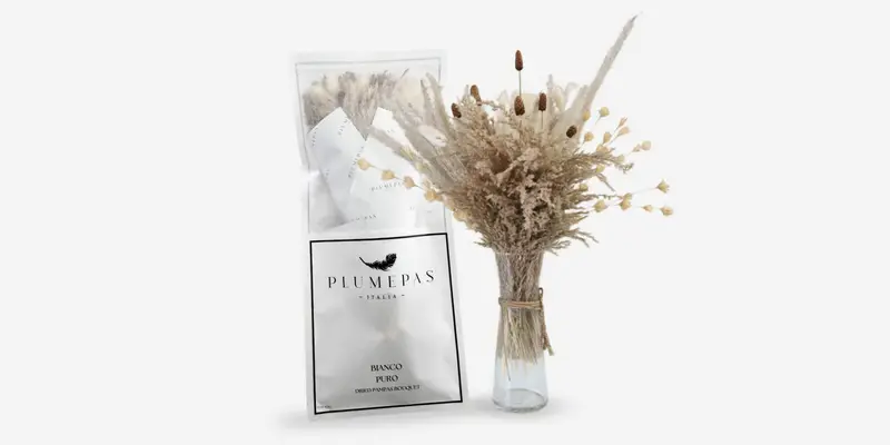 Plumepas dried pampas bouquet