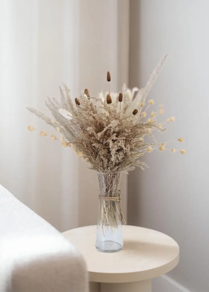 Plumepas lifestyle arrangement
