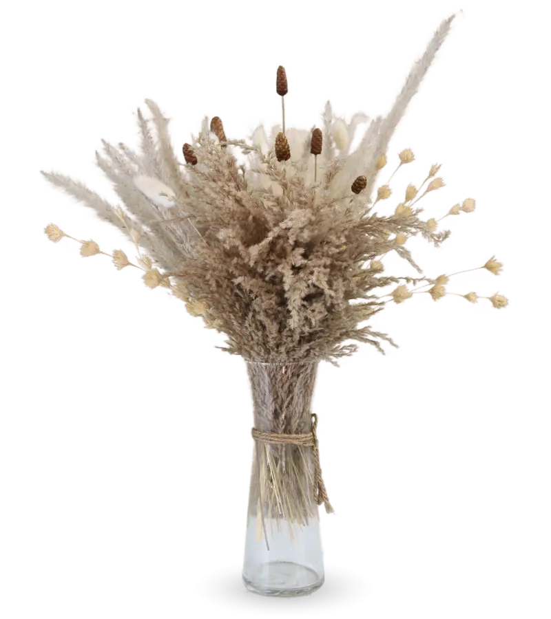 Pampas in a ceramic vase