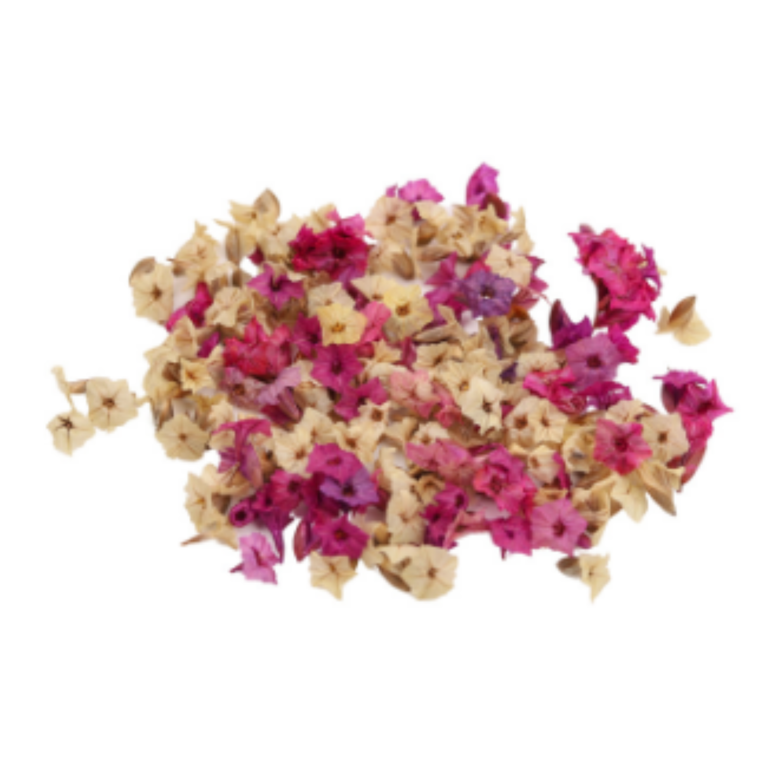Statice Petals (3)