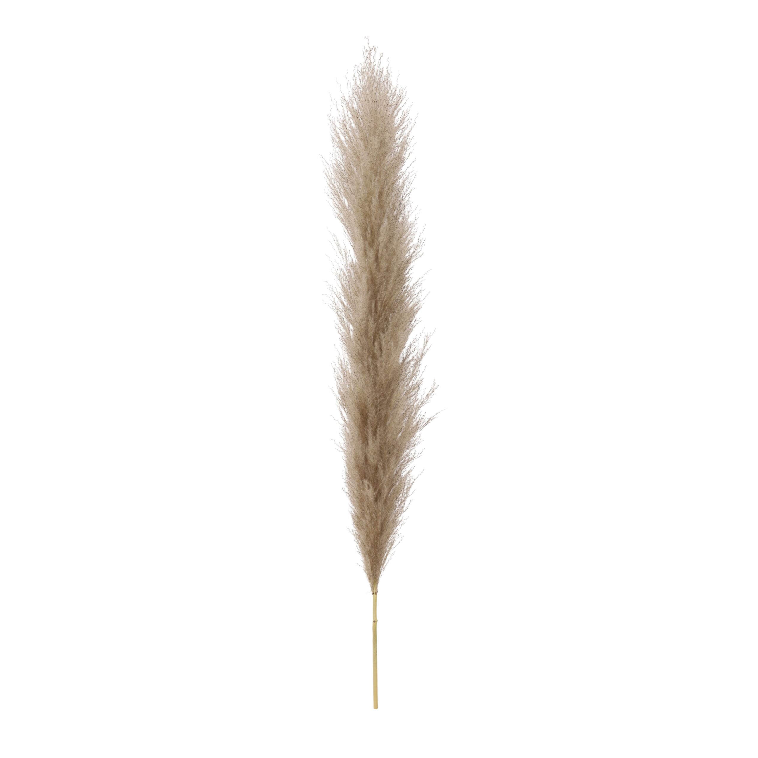 Pampas Natural 2_0