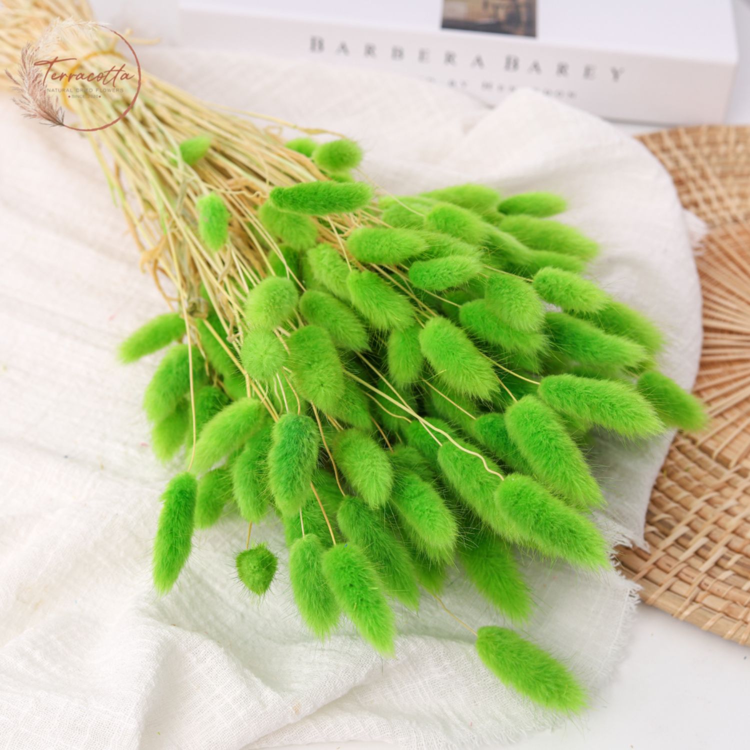 Rabbit Tail Grass Green