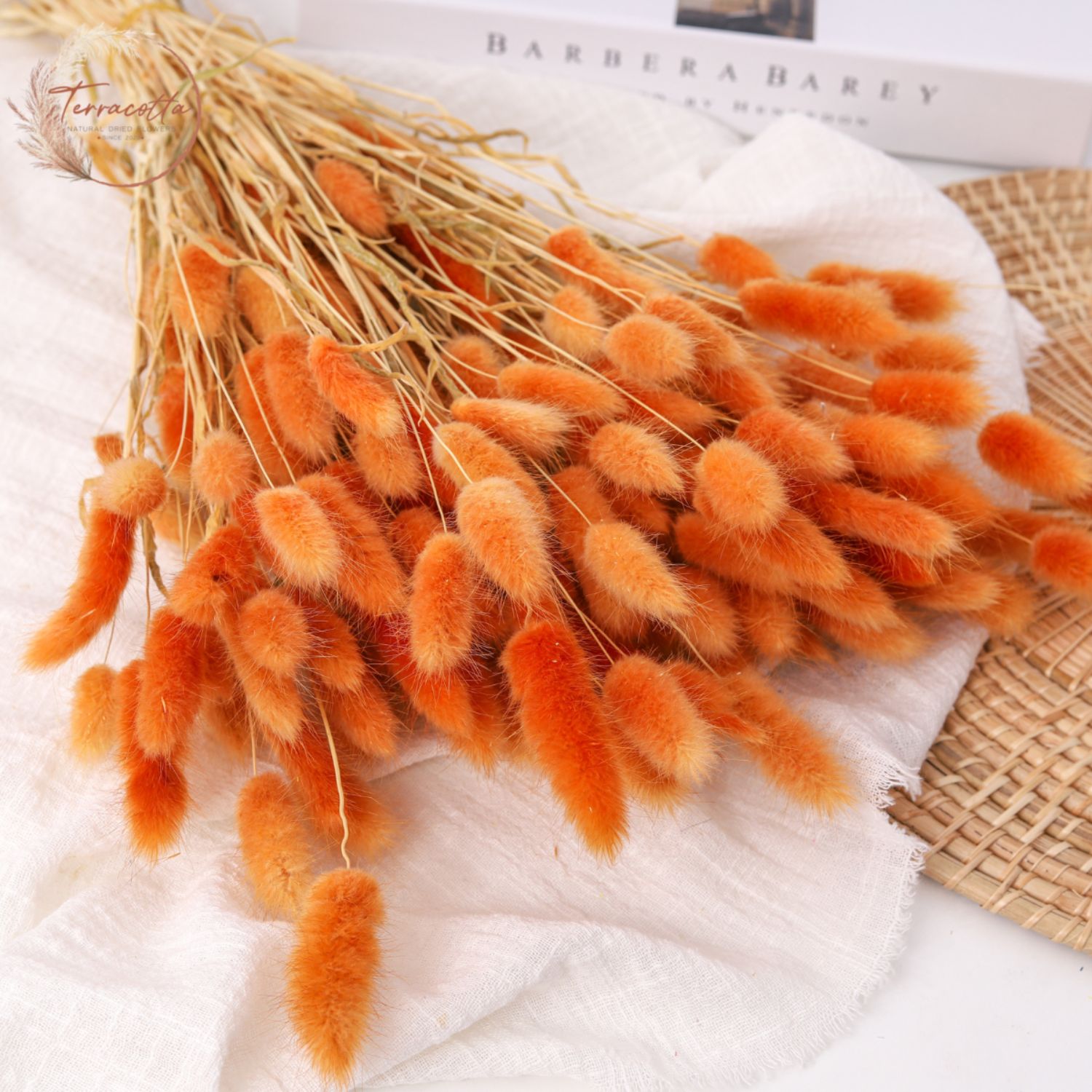 Rabbit Tail Grass Orange