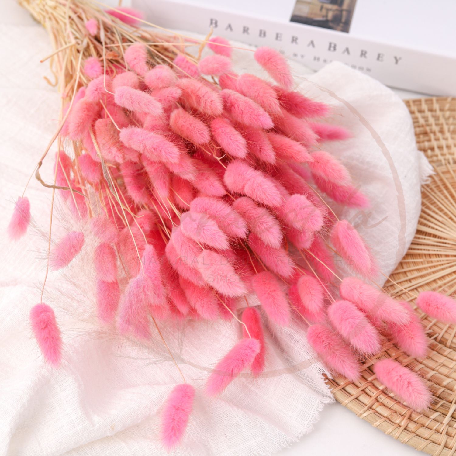 Rabbit Tail Grass Pink