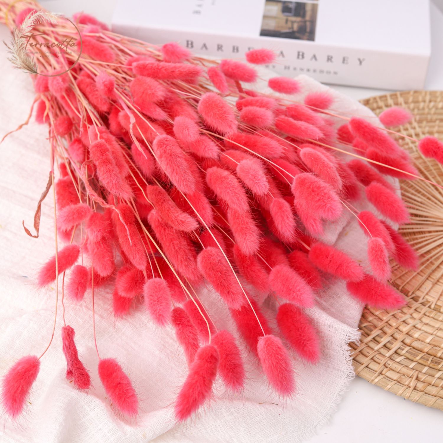 Rabbit Tail Grass Red