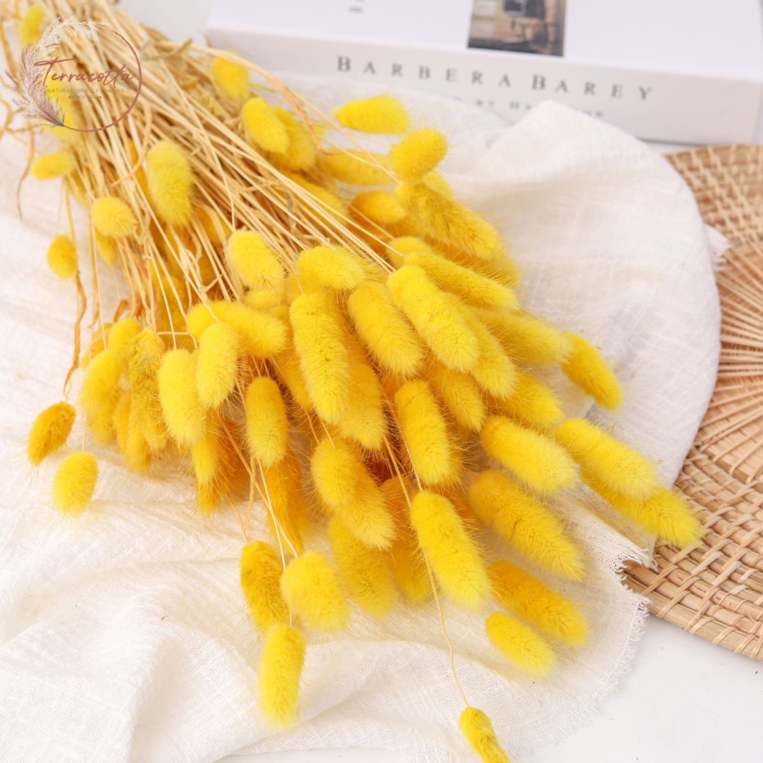 Rabbit Tail Grass Yellow