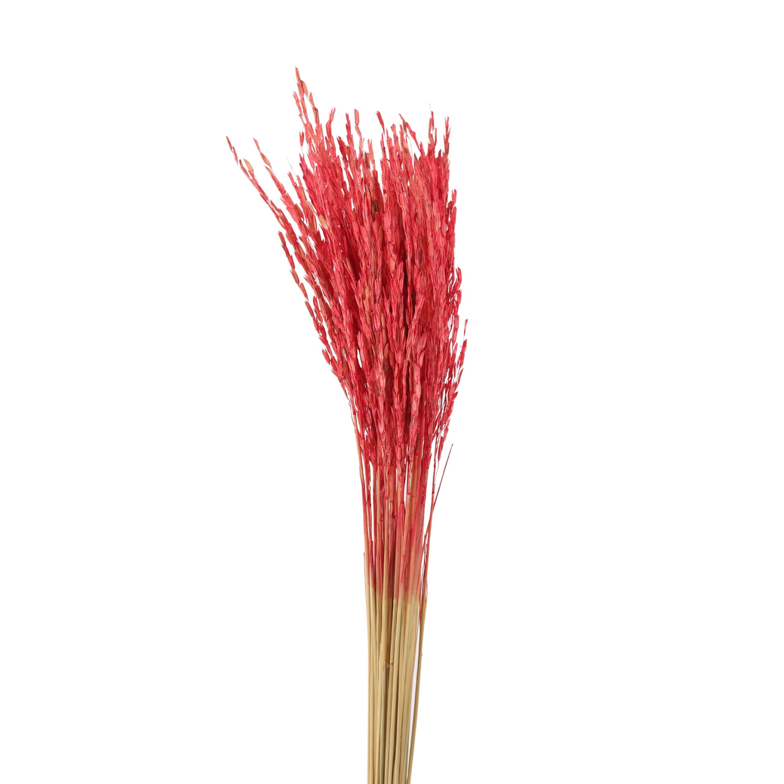 Rice Flower Red