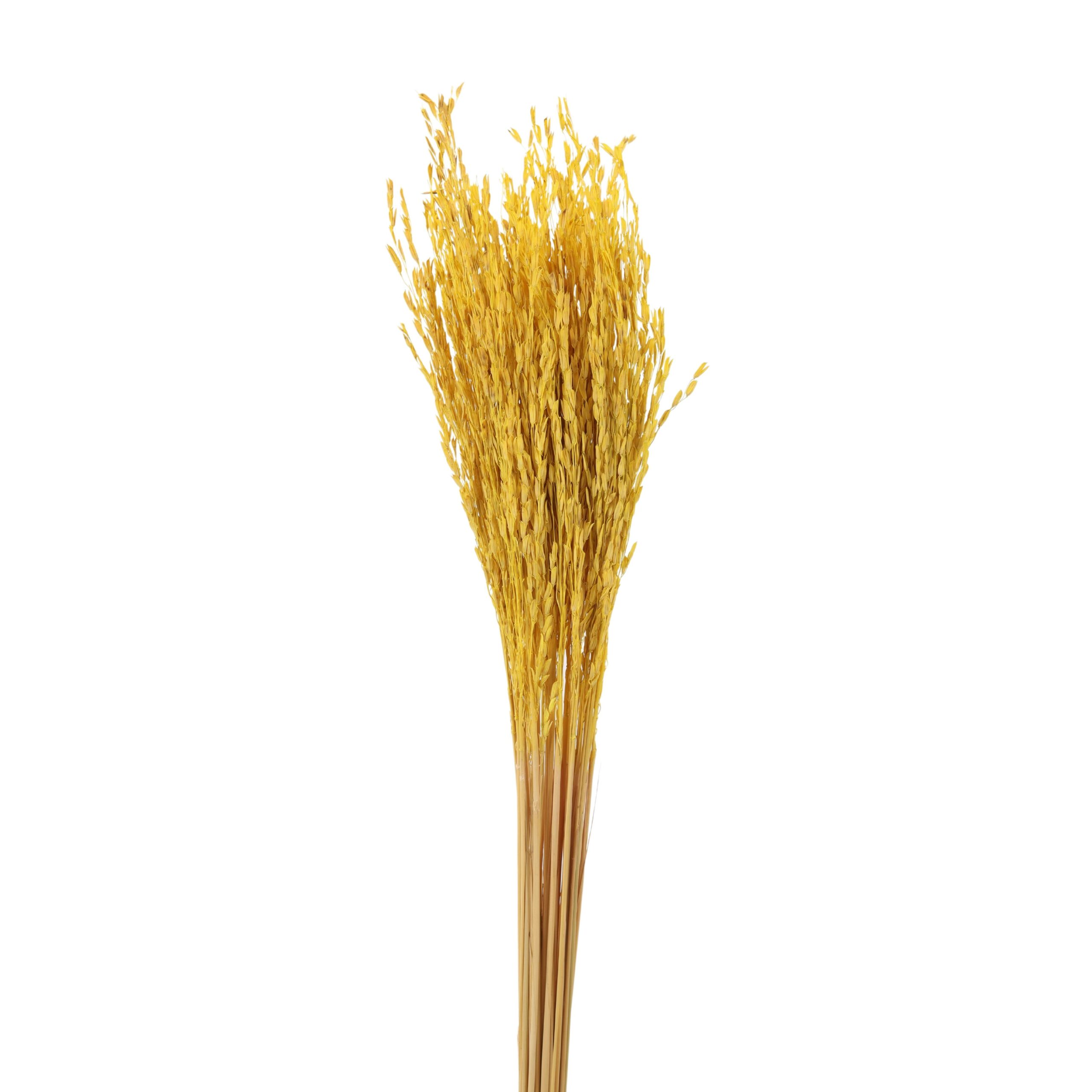 Rice Flower Yellow